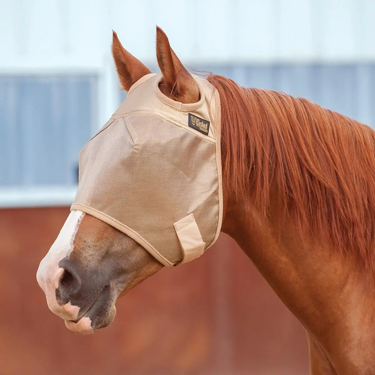 Horse Fly Mask