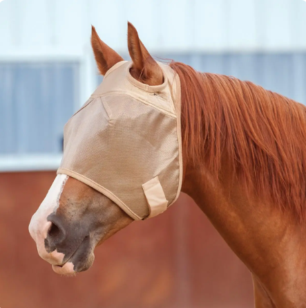 Horse Fly Mask