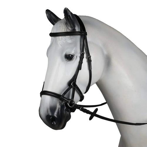 Bitless Horse Bridle